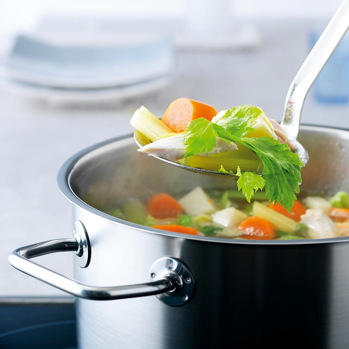 Viseo® Stainless Steel 6 Quart Stock Pot with Glass Lid Exclusive Limited-Time Offer - Image 3